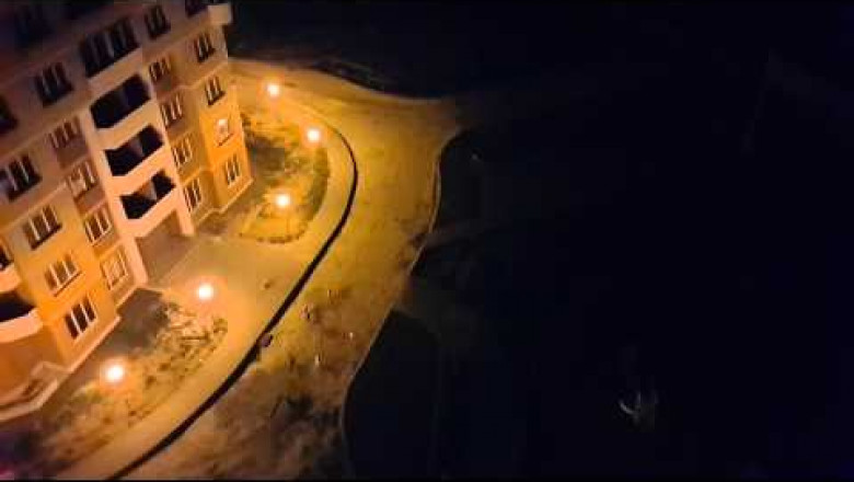 Собаки бегают за лазерной указкой