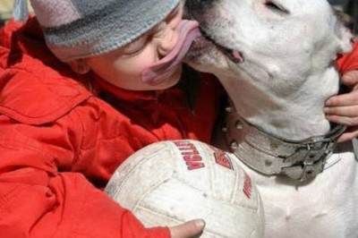 Забавные стоп кадры 