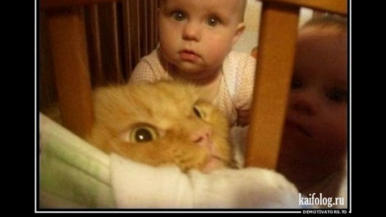 Что вы знаете о безвыходности