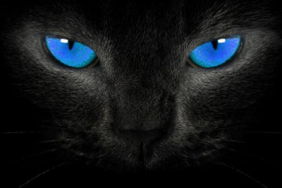 Казус на прогулке