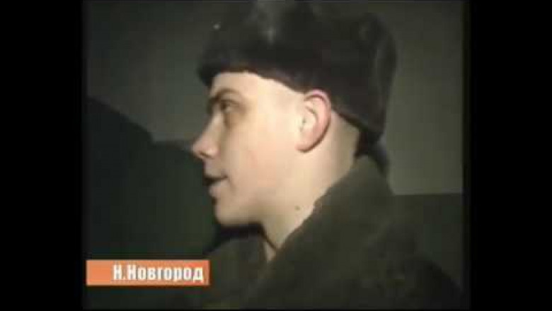 Кот на дерево залез