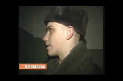 Кот на дерево залез