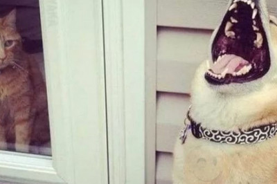 Нет справедливости