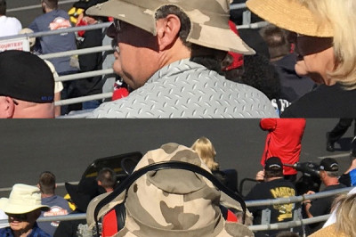 Новомодные панамы 