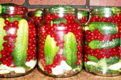 Огурец и хрен