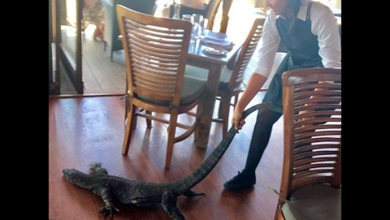 Опасный клиент 