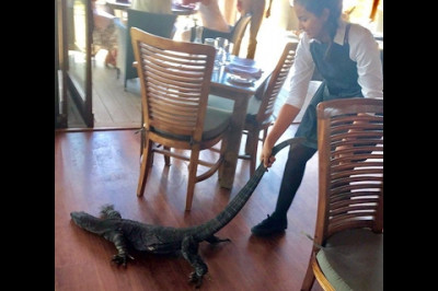 Опасный клиент 