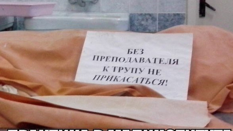 Практика в мединституте