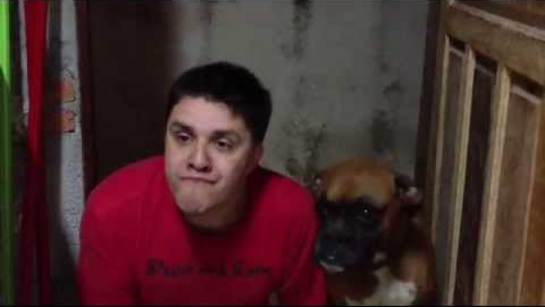 Реакция пса поразительна  