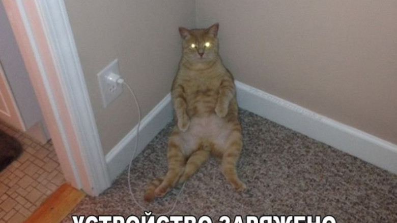 Устройство заряжено