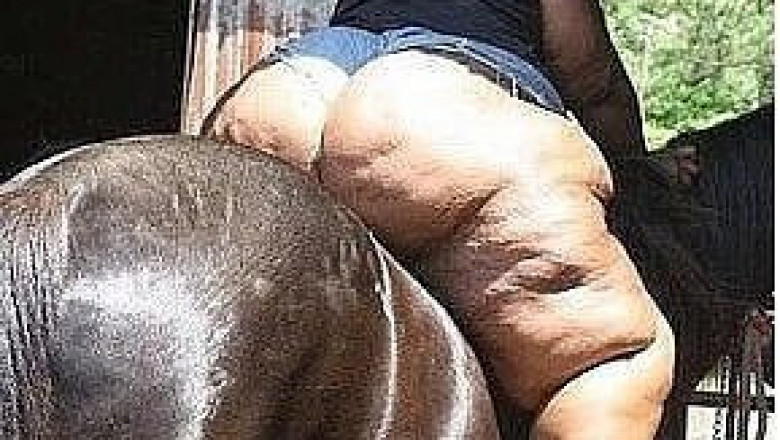 Вспомни эту лошадку