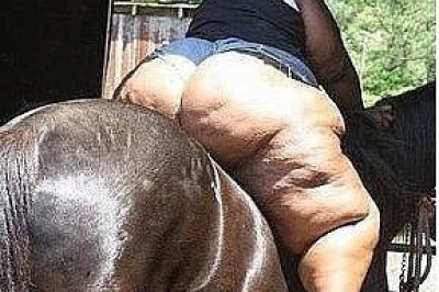 Вспомни эту лошадку