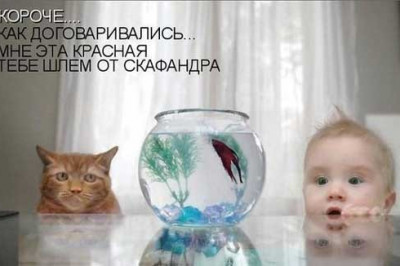 Ах, эти милые, любимые зверюшки