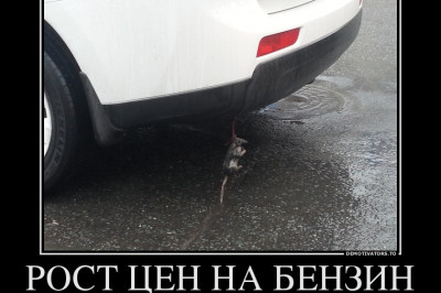 Брелок на бампере