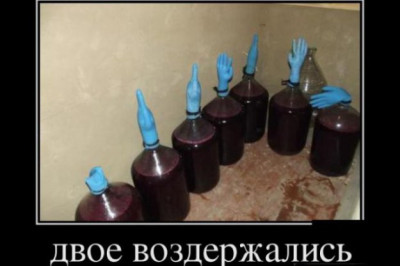 Идет голосование