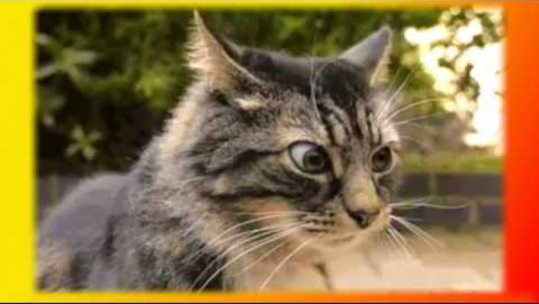 Набираемся позитива !