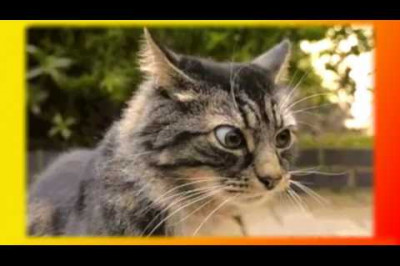 Набираемся позитива !