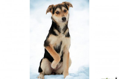 Надо же, какое совпадение