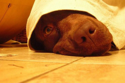 Народная молва – страшная сила