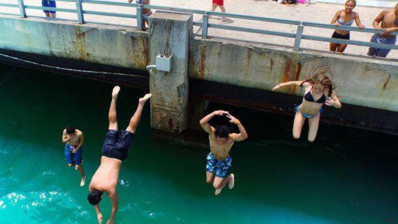 Русские туристы и акула