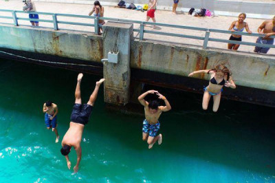 Русские туристы и акула