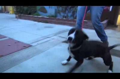 Спешите делать добро !