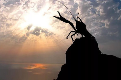 Когда рак на горе свистнет