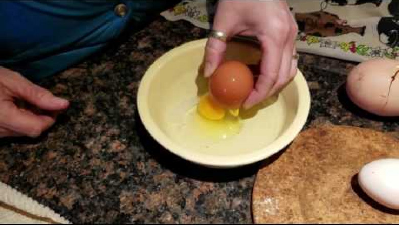 Курица снесла слишком большое яйцо