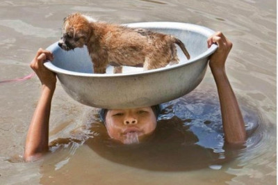 Поступки добрых людей 