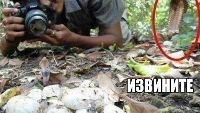 Поймал кадр