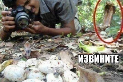 Поймал кадр