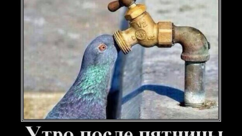 Утро после пятницы