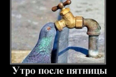 Утро после пятницы