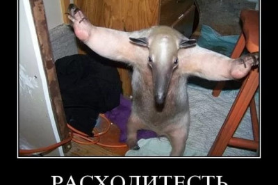 Все парень хватит, отвали!