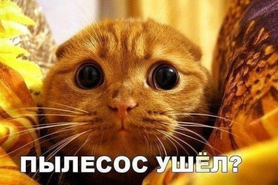 Этот страшный звук пылесоса