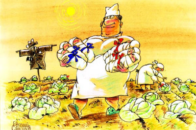 Капусте «НЕТ»