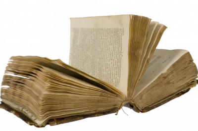 Конфуз с анатомическим подтекстом