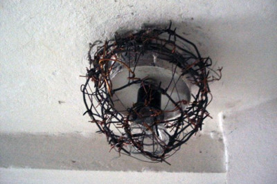 Лампочка под строгим режимом