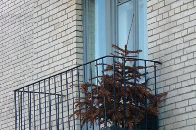 Ленивый хозяин