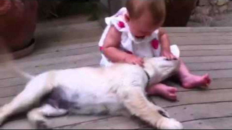 Малышка и щенок 