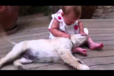 Малышка и щенок 