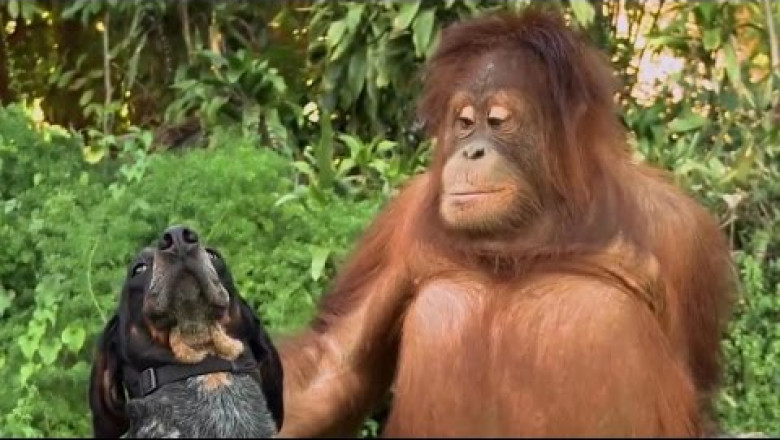 Не будьте одинаковыми , будьте вместе 