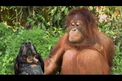 Не будьте одинаковыми , будьте вместе 