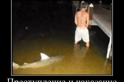 Преступление и наказание