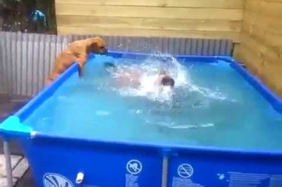 Проверка на сообразительность 