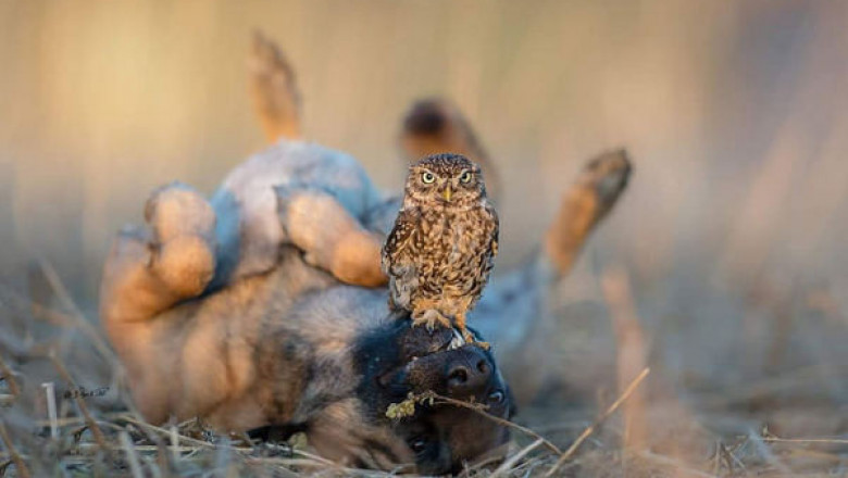 Редкий кадр 