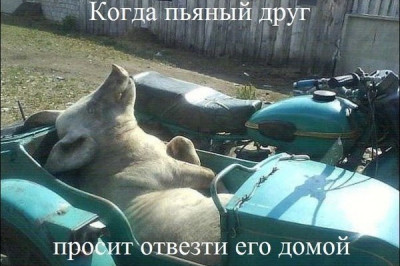 Вези меня, извозчик