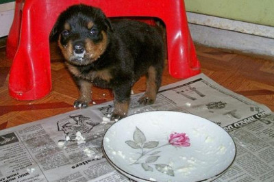 Вот так мама!