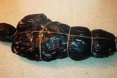 Бабушка упаковала елку