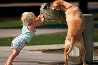 Друг всегда поможет